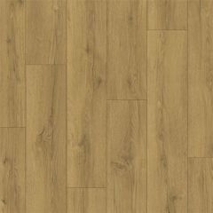 Quick-Step Classic Honey brown oak CLM5792 8mm AC4 Laminate Flooring